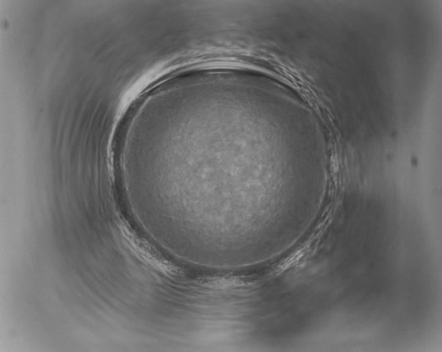X0000057070246200509091229