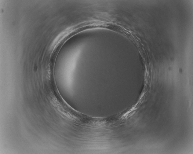 X0000057070247200509091229