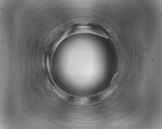 X0000057070288200509091230
