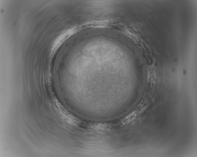 X0000057070293200509091229