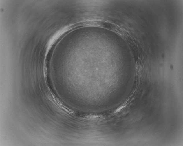 X0000057070294200509091229