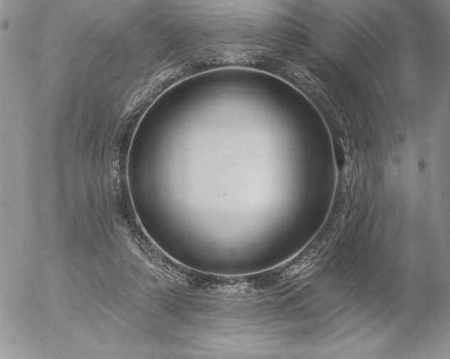 X0000057070306200509091229
