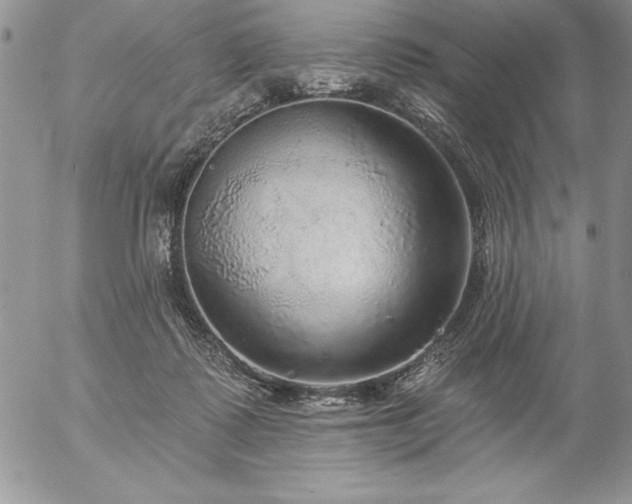 X0000057070315200509091229