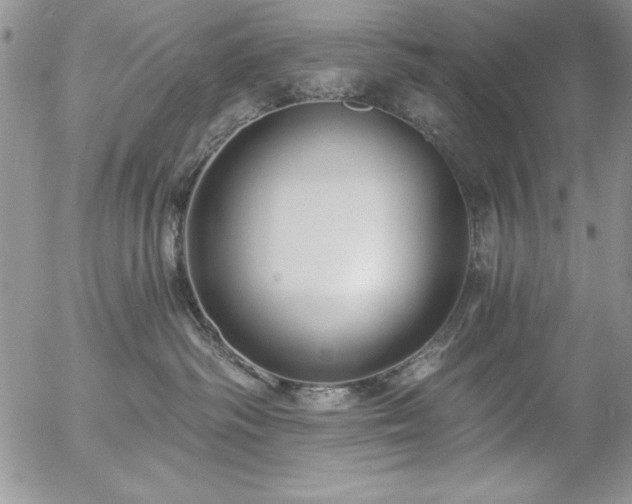 X0000057070334200509091229
