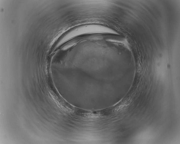 X0000057070347200509091228