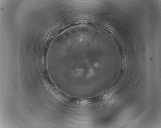 X0000057070365200509091228