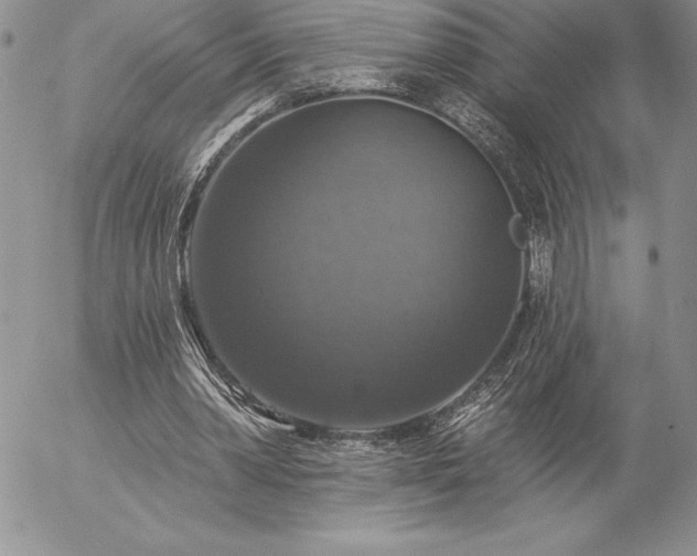 X0000057070390200509091228