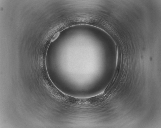 X0000057070403200509091227