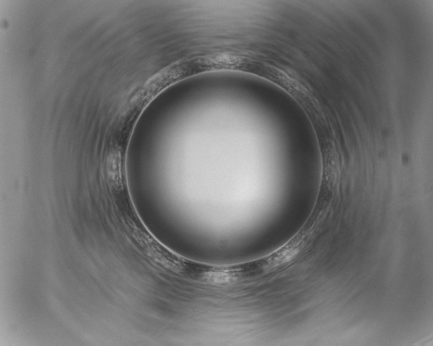 X0000057070425200509091227