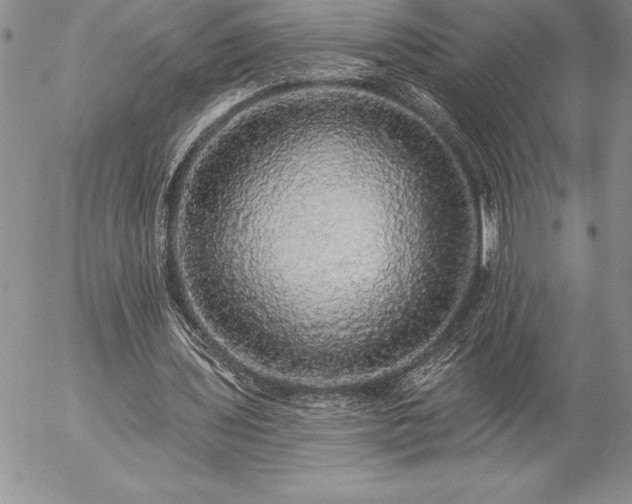 X0000057070435200509091226