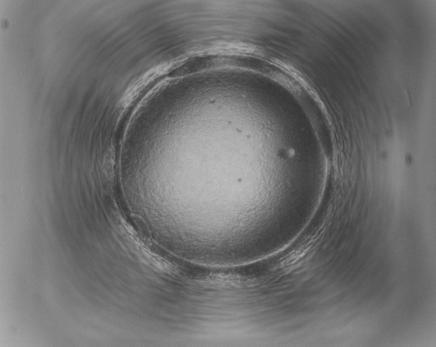 X0000057070437200509091226