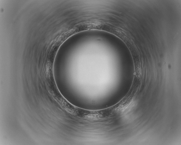 X0000057070468200509091227