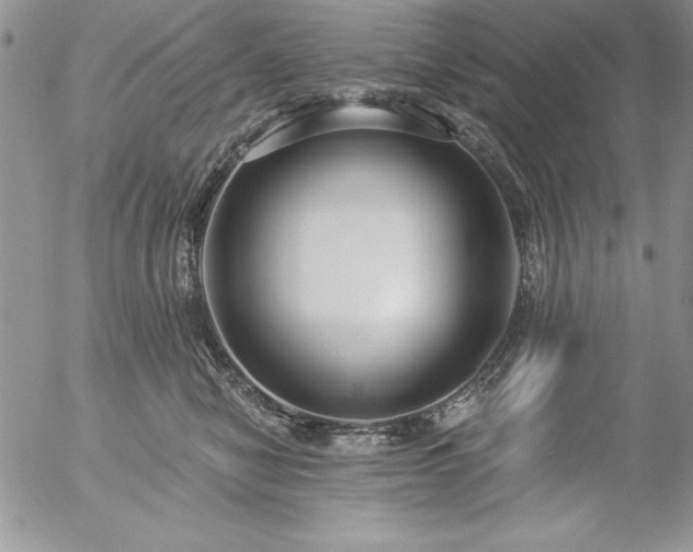 X0000057070470200509091227
