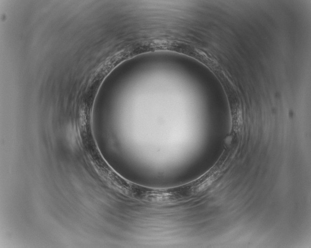 X0000057070472200509091227