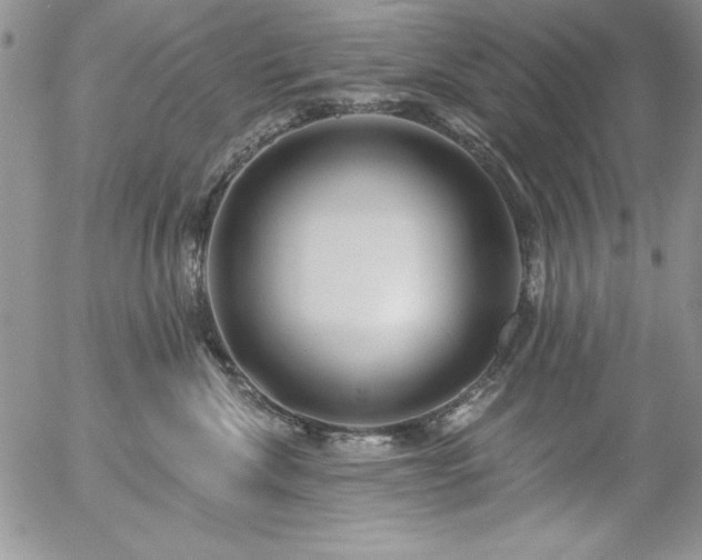 X0000057070476200509091227