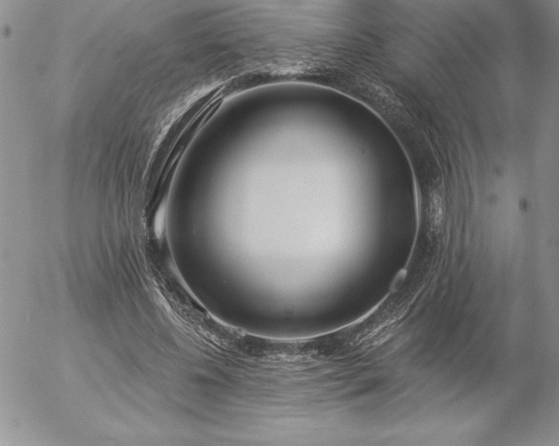 X0000057070540200509091225