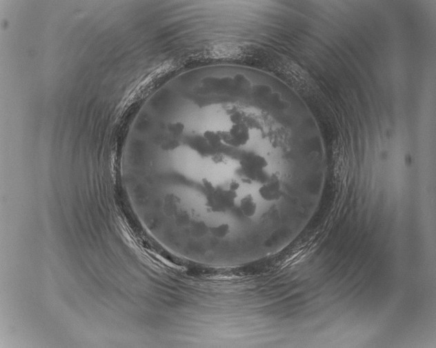 X0000057070542200509091225
