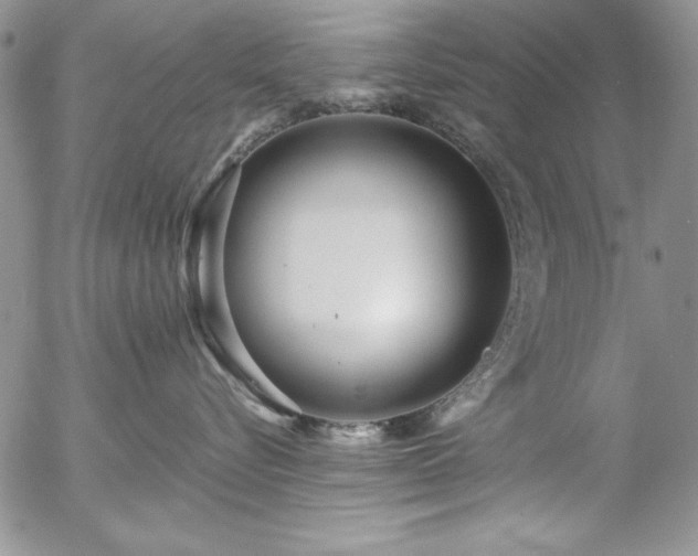 X0000057070576200509091225