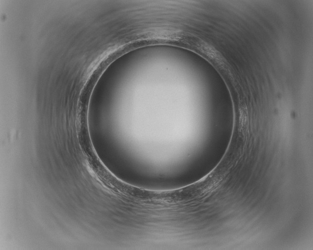 X0000057070580200509091224