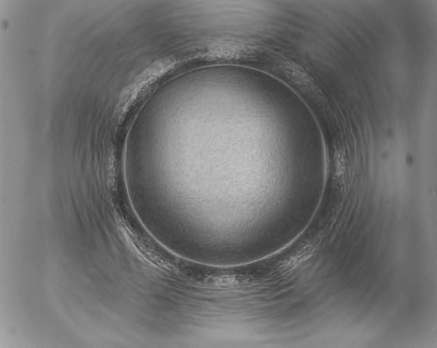 X0000057070588200509091224