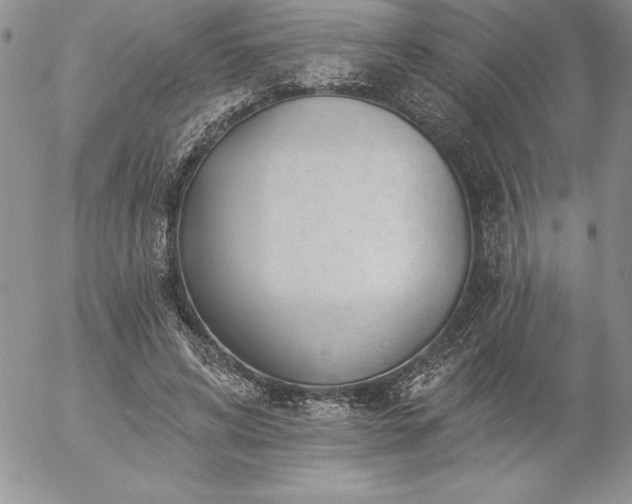 X0000057070592200509091224