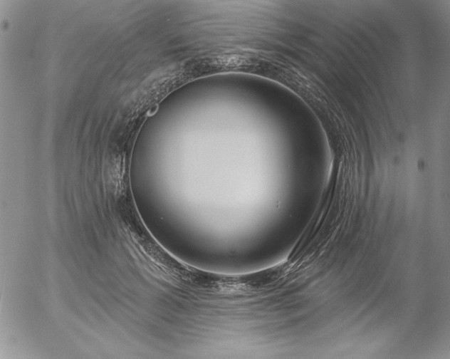 X0000057070605200509091224