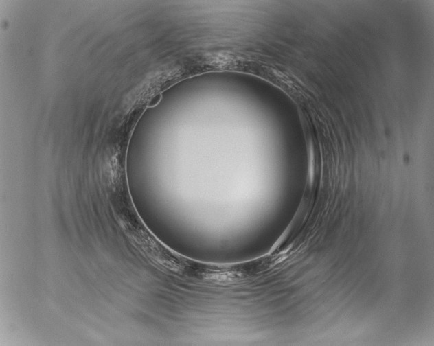 X0000057070611200509091224