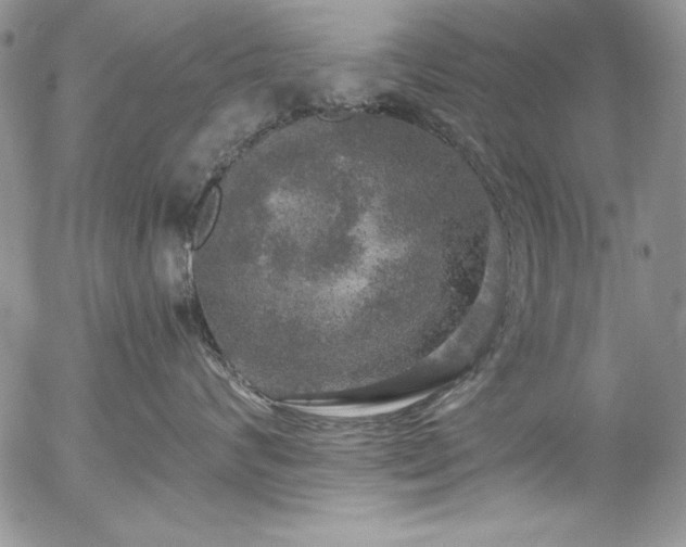 X0000057070624200509091224