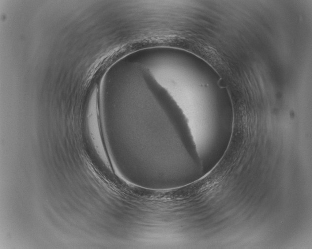 X0000057070640200509091223