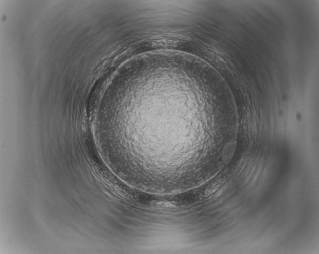 X0000057070649200509091223