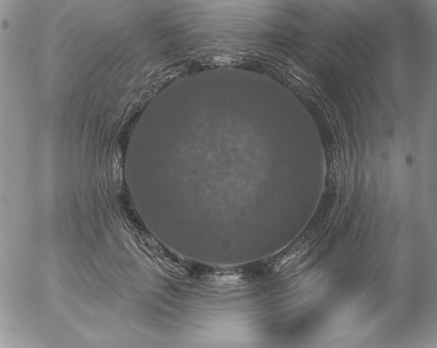 X0000057070651200509091223