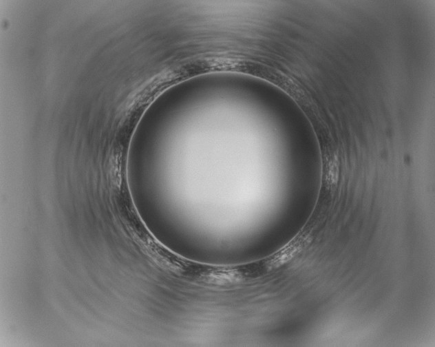 X0000057070666200509091224