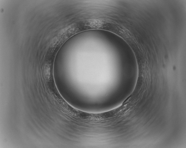 X0000057070697200509091222