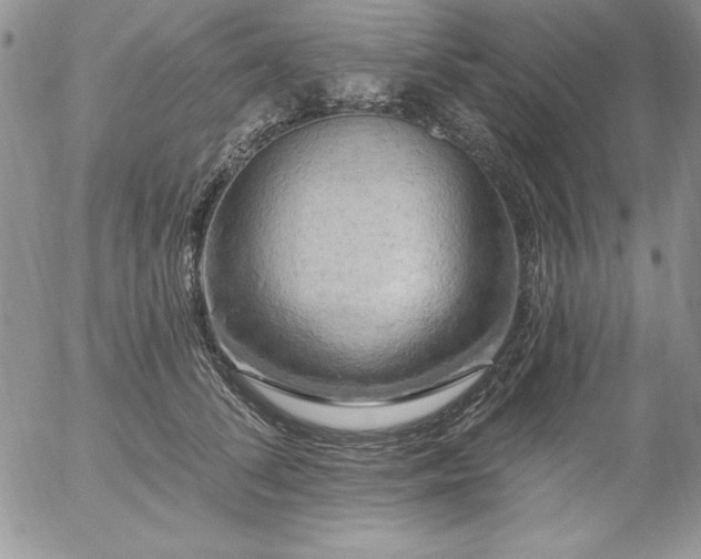 X0000057070708200509091222
