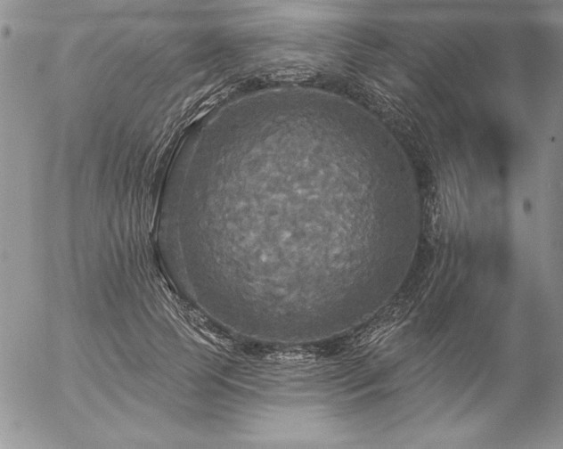 X0000057070745200509091222