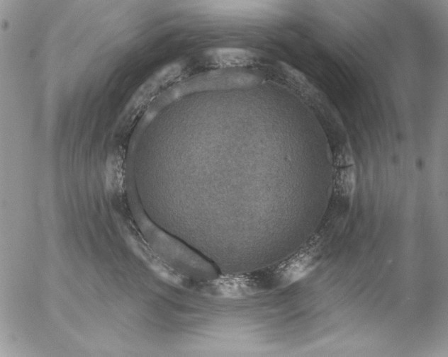 X0000057070762200509091222