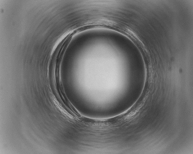 X0000057070788200509091221