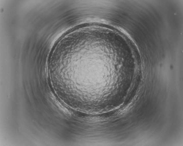 X0000057070791200509091221