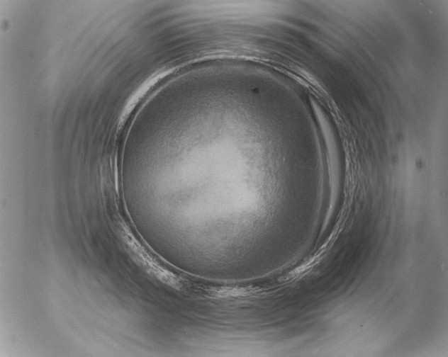 X0000057070796200509091221
