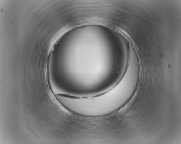 X0000057070812200509091221