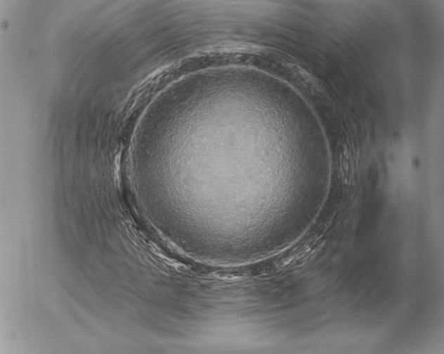 X0000057070821200509091220