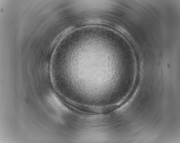 X0000057070849200509091220