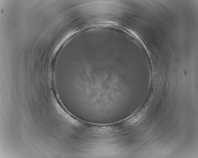 X0000057070851200509091220