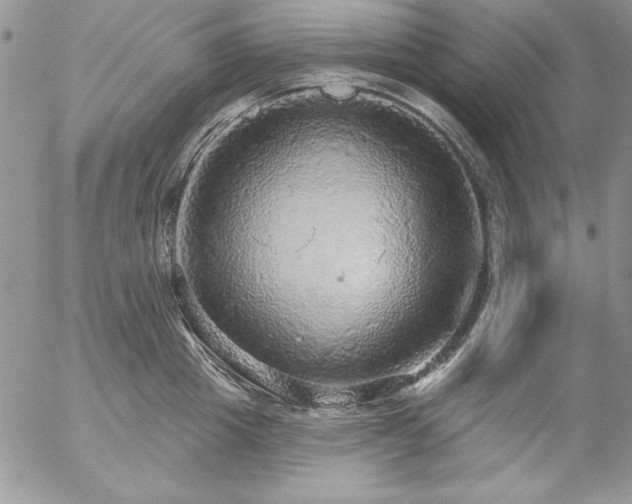 X0000057070857200509091220