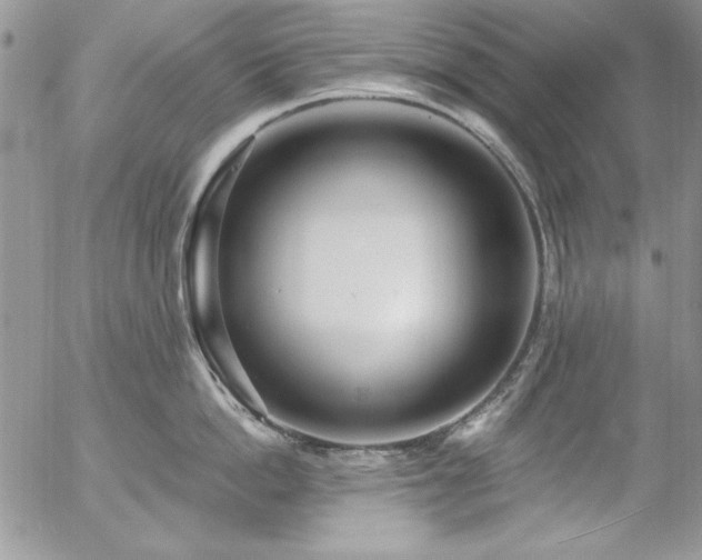 X0000057070862200509091220