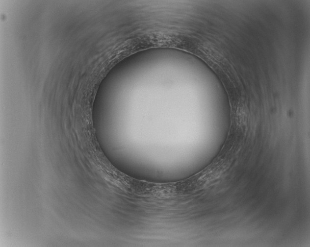 X0000057070865200509091220