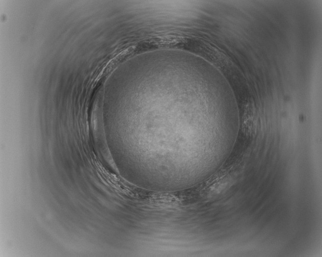 X0000057070866200509091220