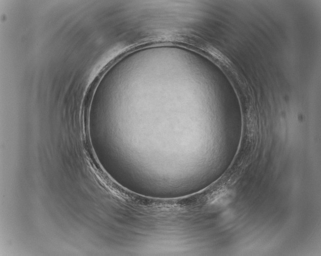 X0000057070886200509091219