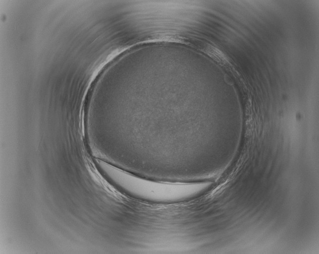 X0000057070892200509091219