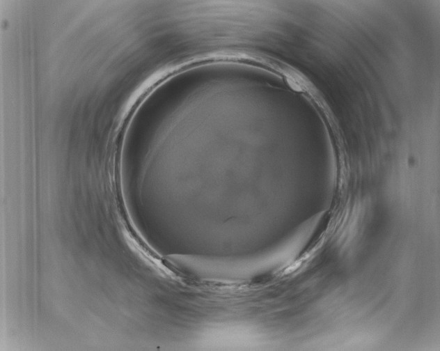X0000057070958200509091219